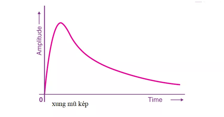 Xung điện từ mũ kép