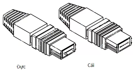 MPO đực cái