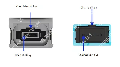 Chân đầu nối MPO